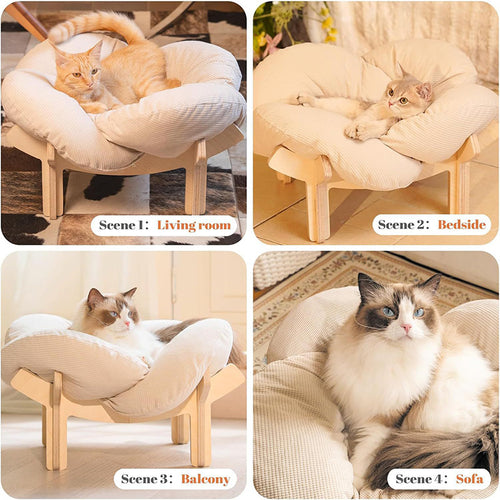 Cat Bed