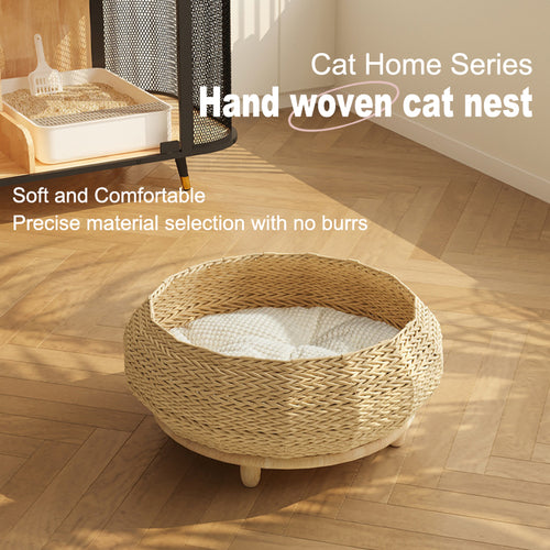 cat bed