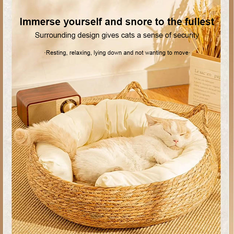 Cat bed2