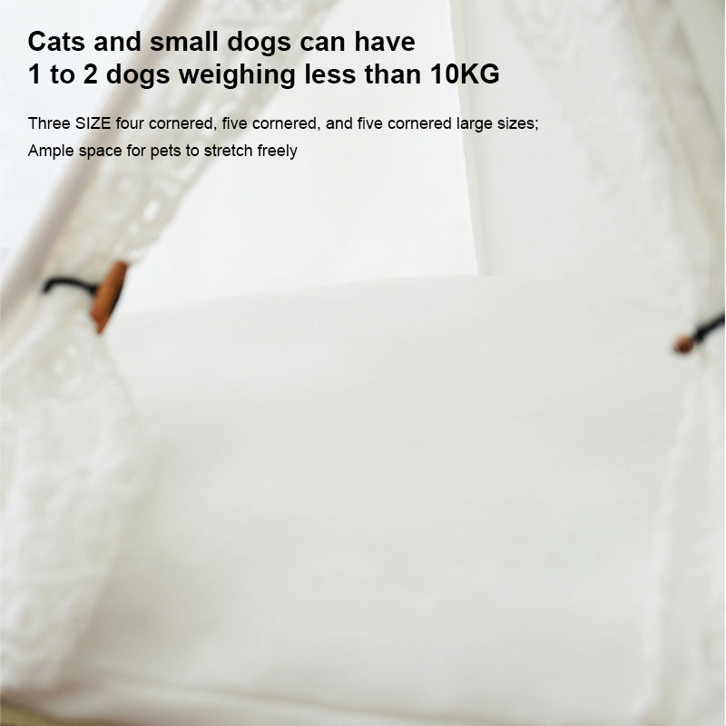 Cat Tent Series